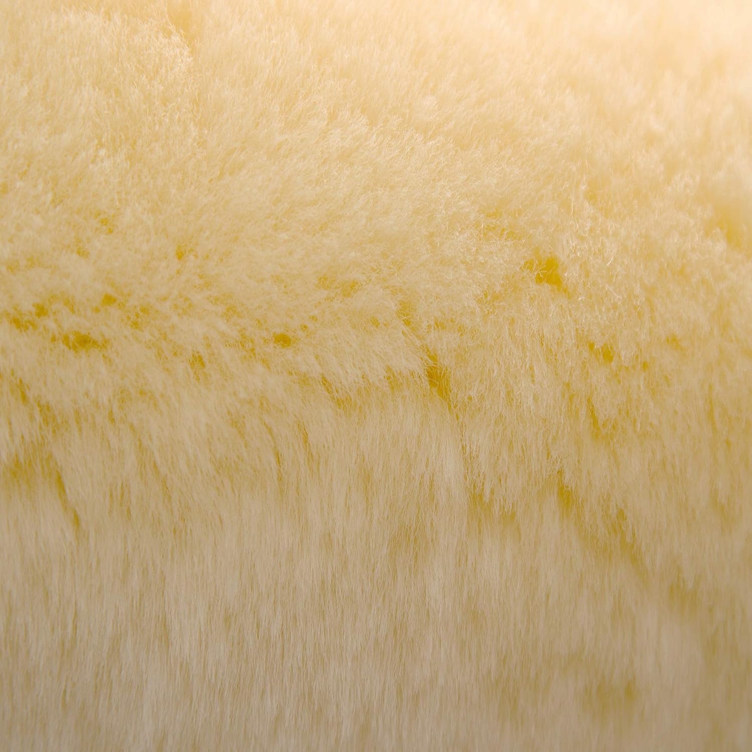 Sangle de dressage en véritable peau de mouton mérinos